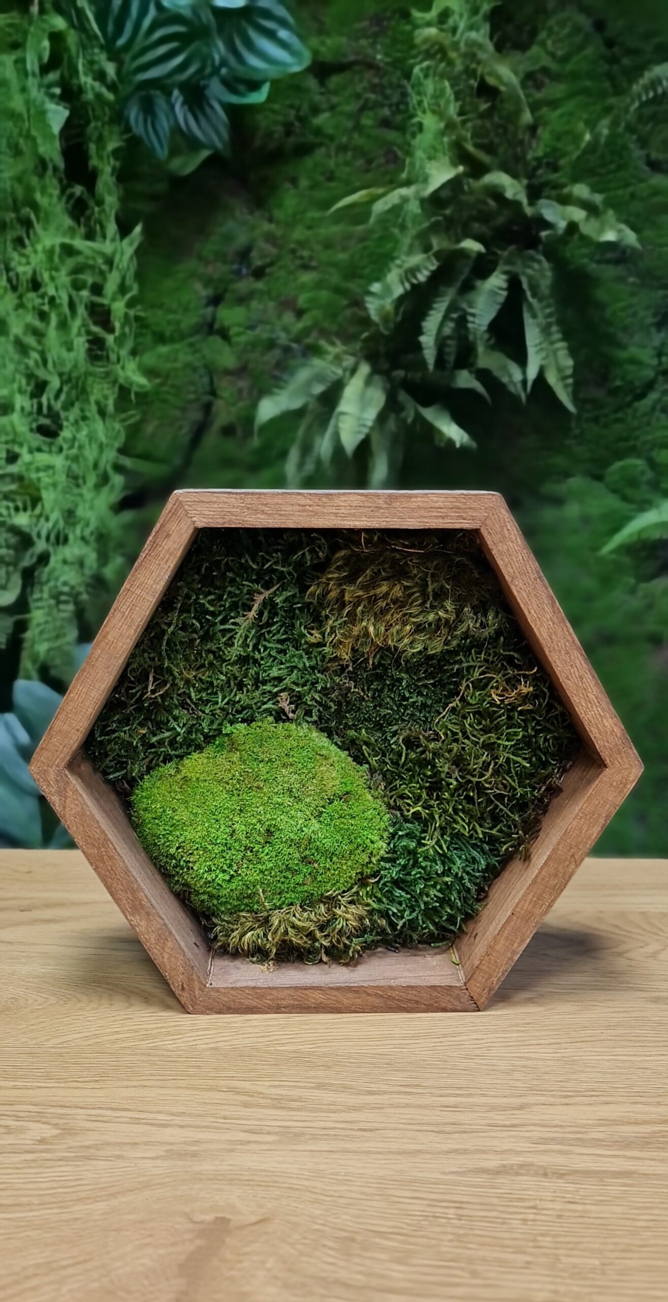 Hexagons with moss - Image 6