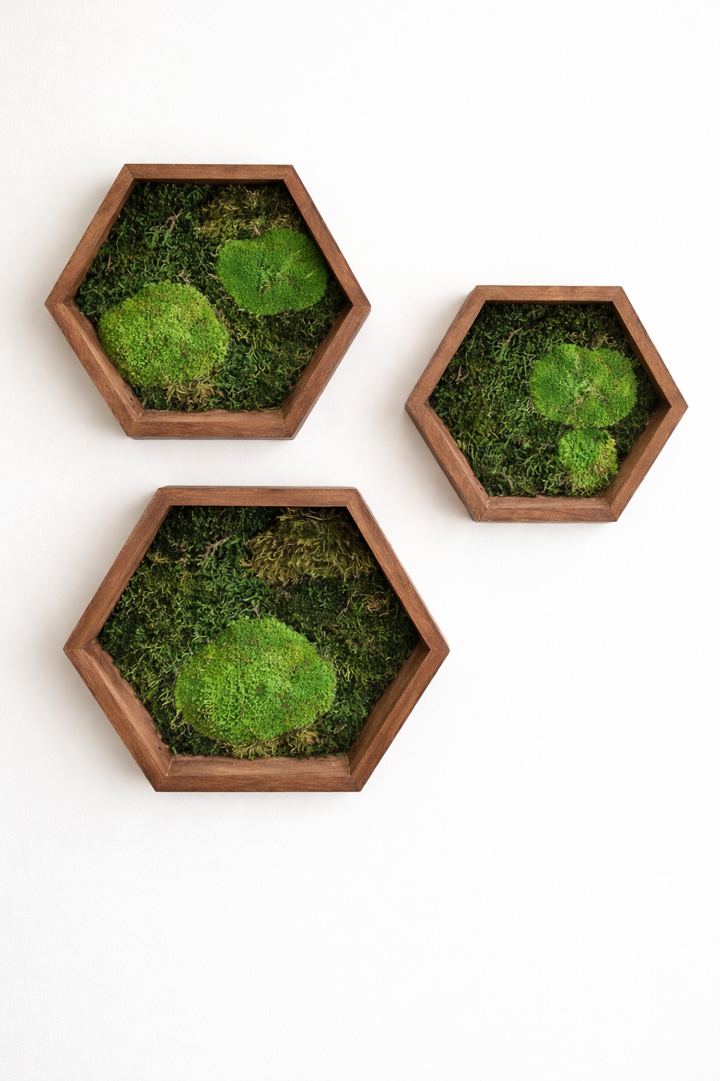 Hexagons with moss - Image 2