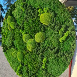 A round picture made of preserved moss