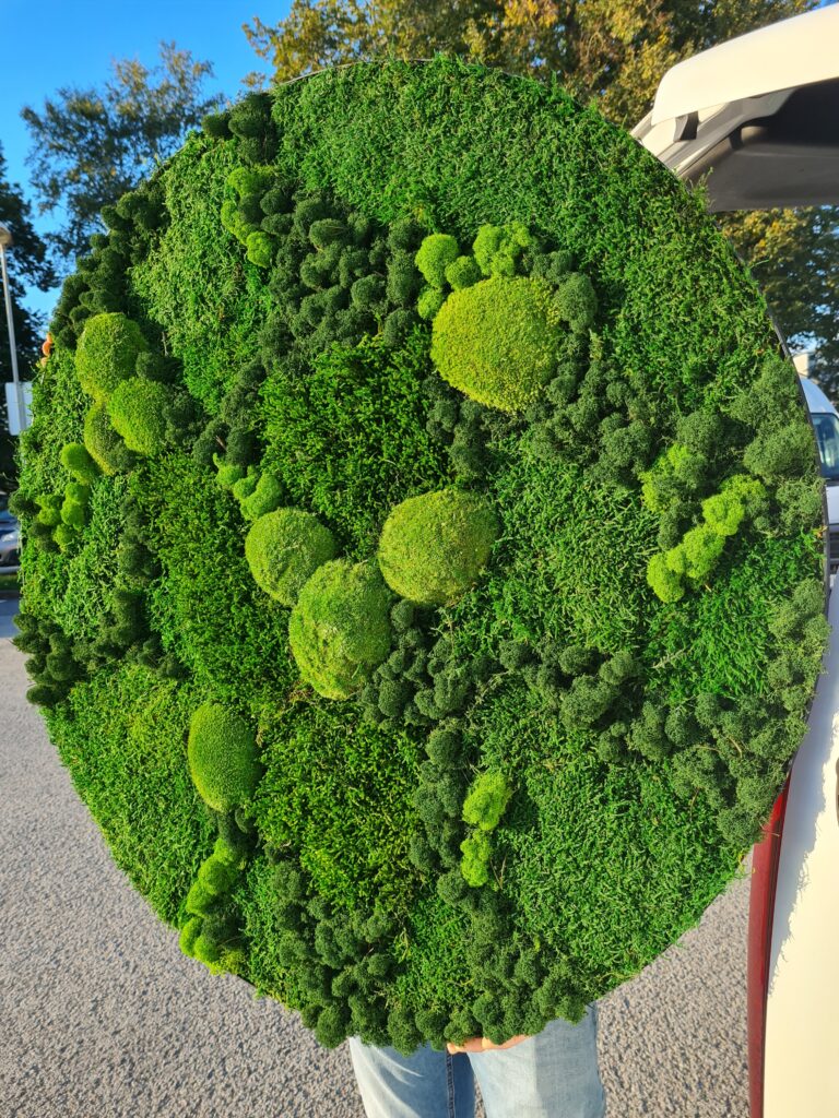 A round picture made of preserved moss