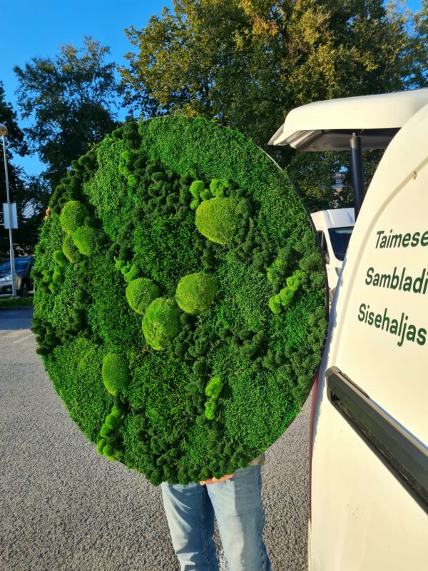 A round picture made of preserved moss - Image 2