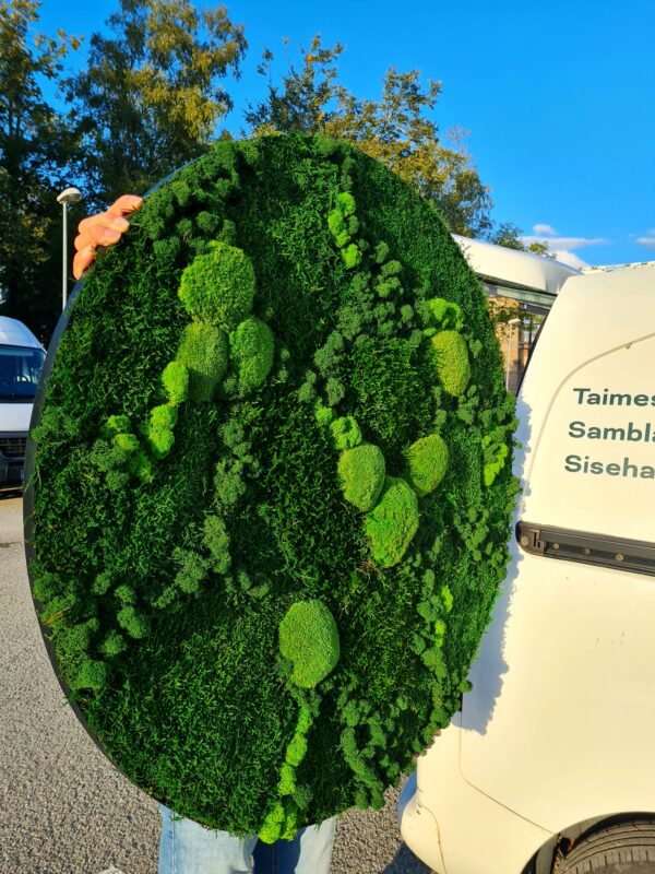 A round picture made of preserved moss - Image 3