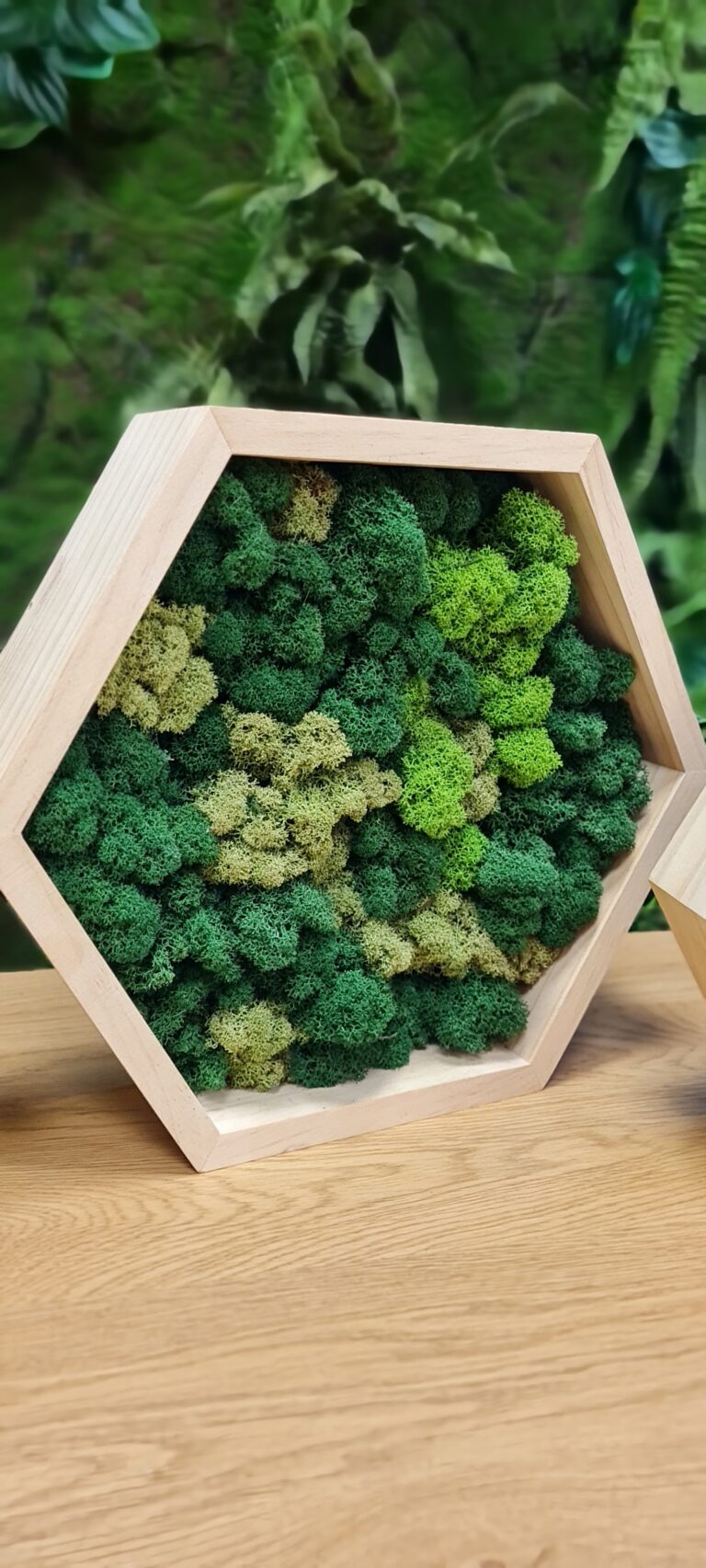 Hexagons with moss