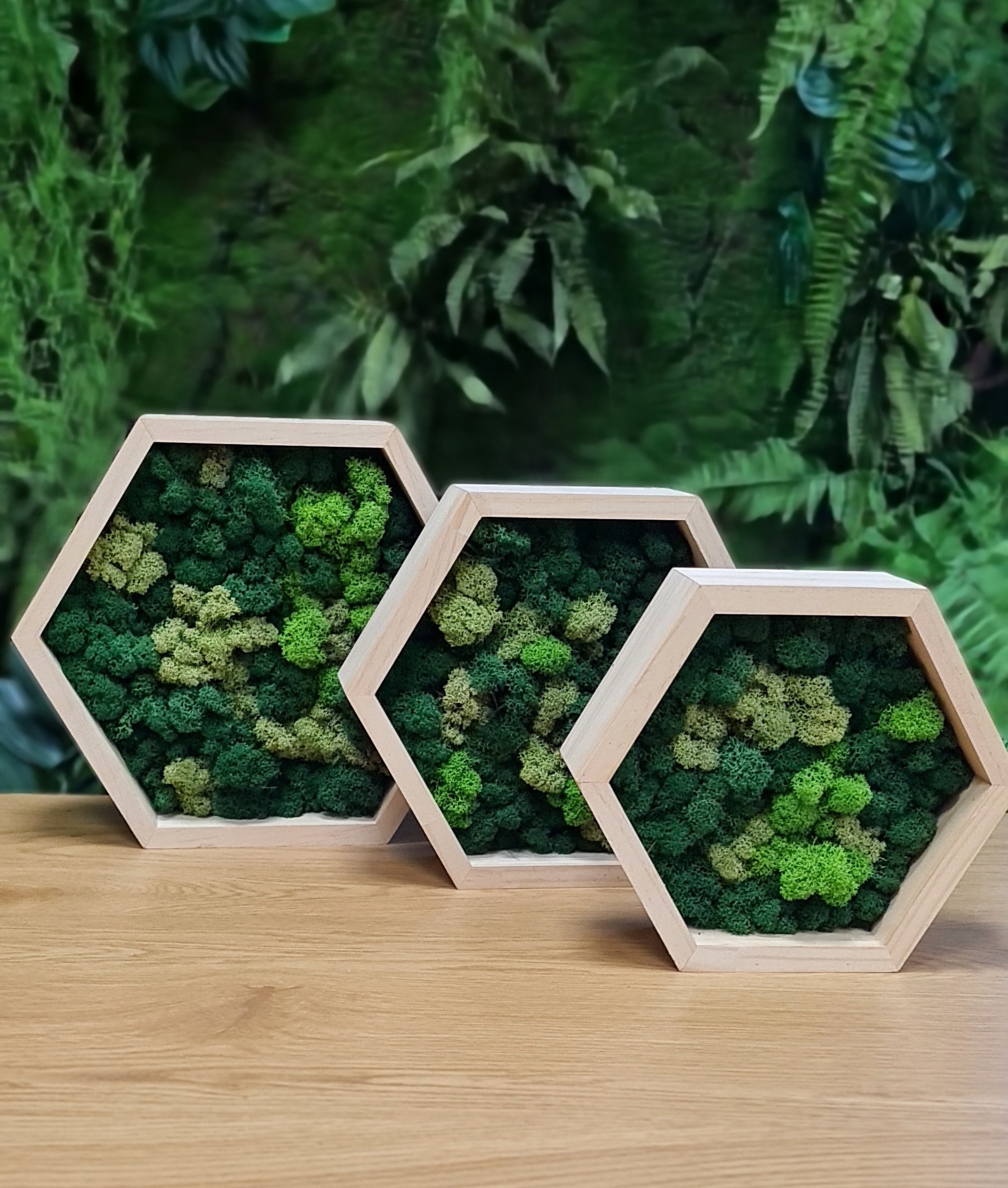 Hexagons with moss - Image 4