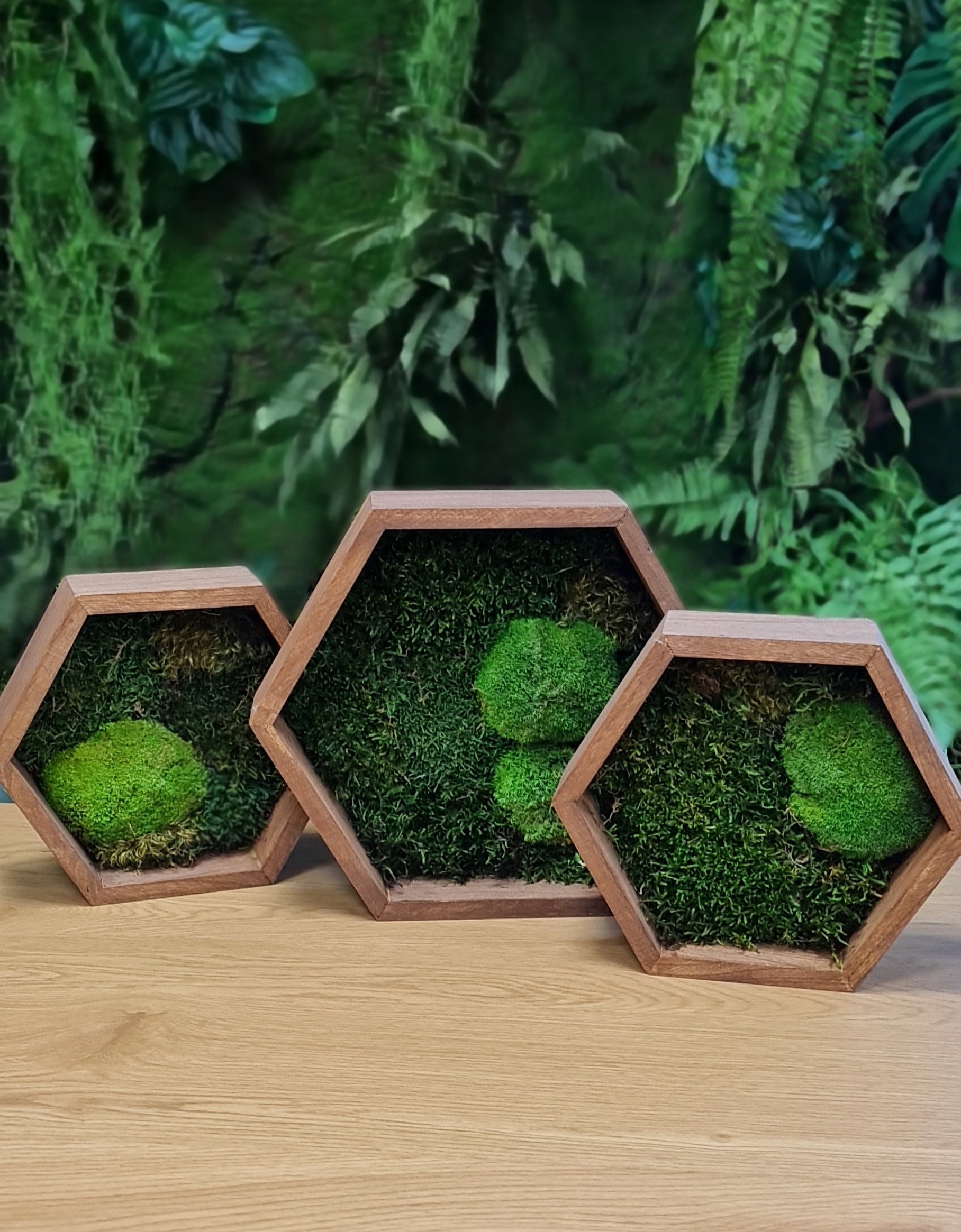 Hexagons with moss - Image 3