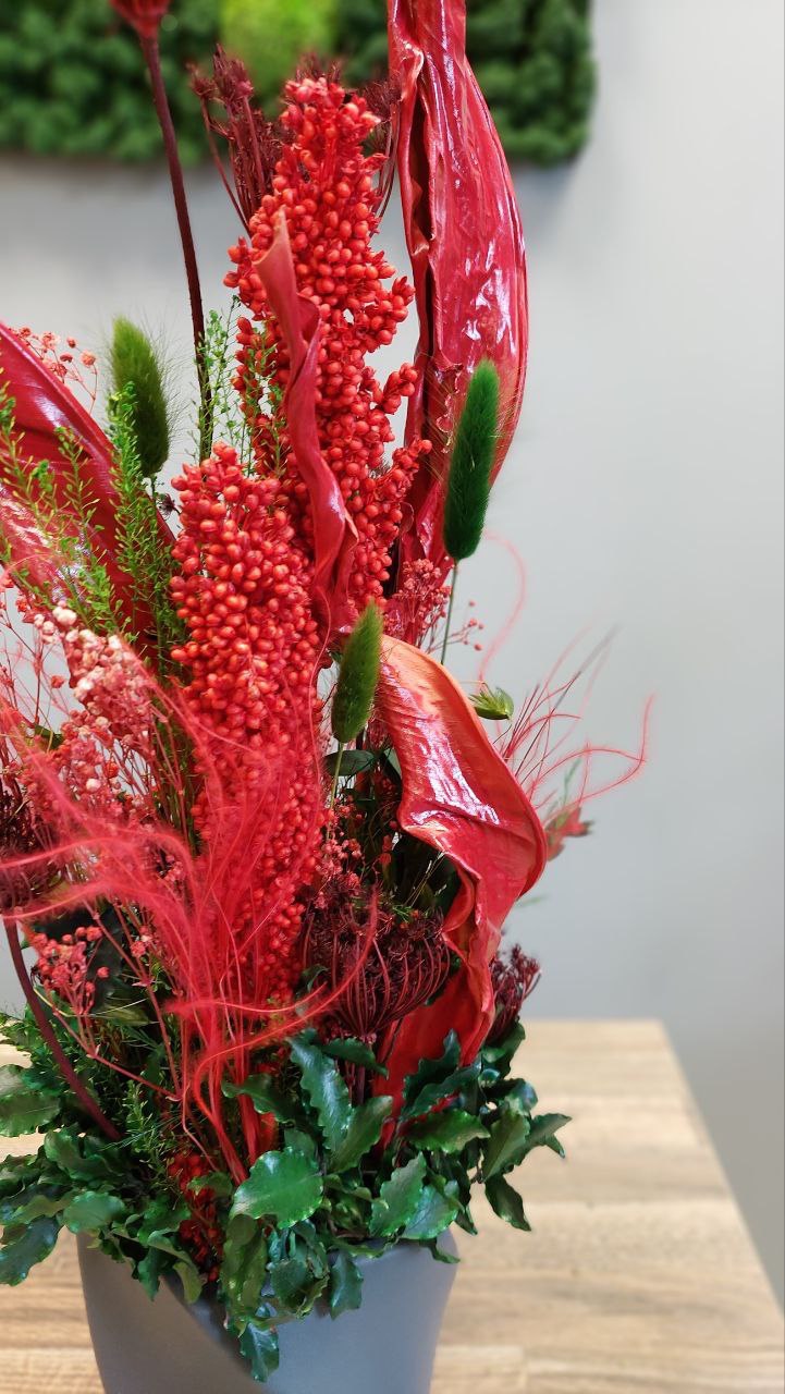 Kompositsioon kuivatatud lilledest erkpunase värvi ja stabiliseeritud rohelusega