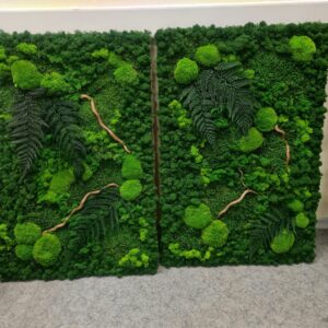 Stabiliseeritud sambla maal stabiliseeritud roheluse ja puidust sisekujundusega