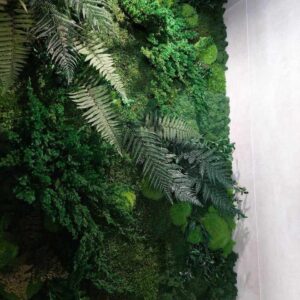 Samblikust pilt stabiilse roheluse ja kadakaga