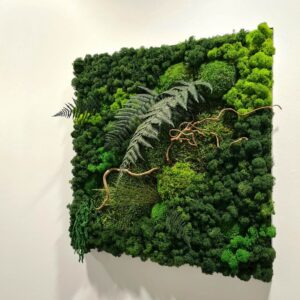 Stabiliseeritud samblast tehtud pilt stabiliseeritud roheluse ja puidust dekoratsiooniga