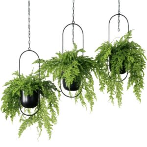 Hanging plants in a black metal pot