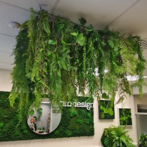 Hanging plants on the ceiling
