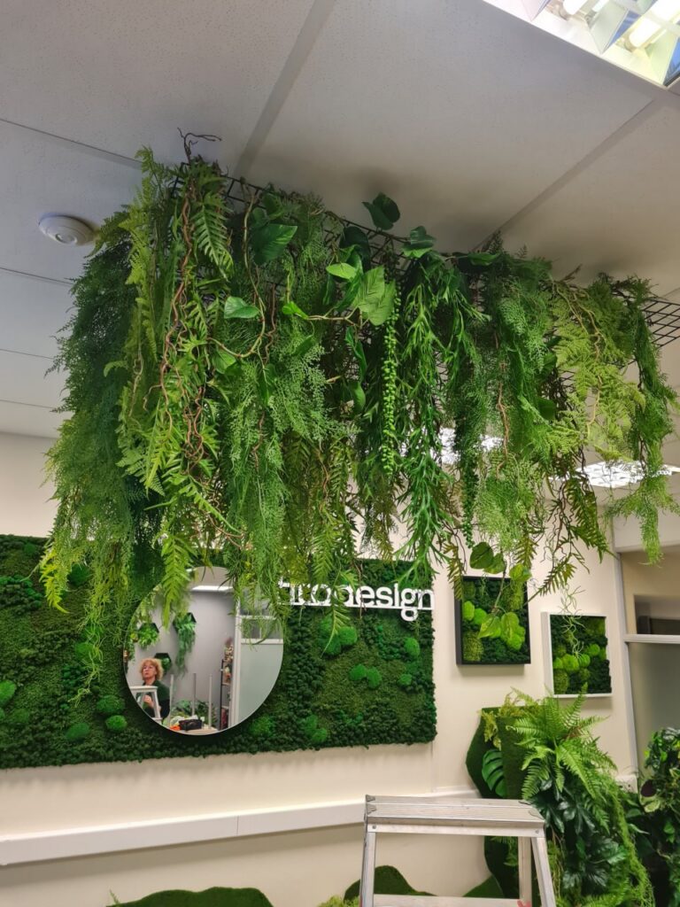 Hanging plants on the ceiling