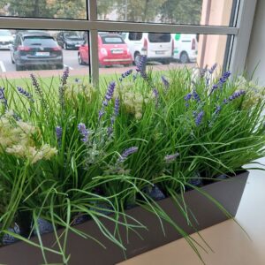 Box with artificial plants