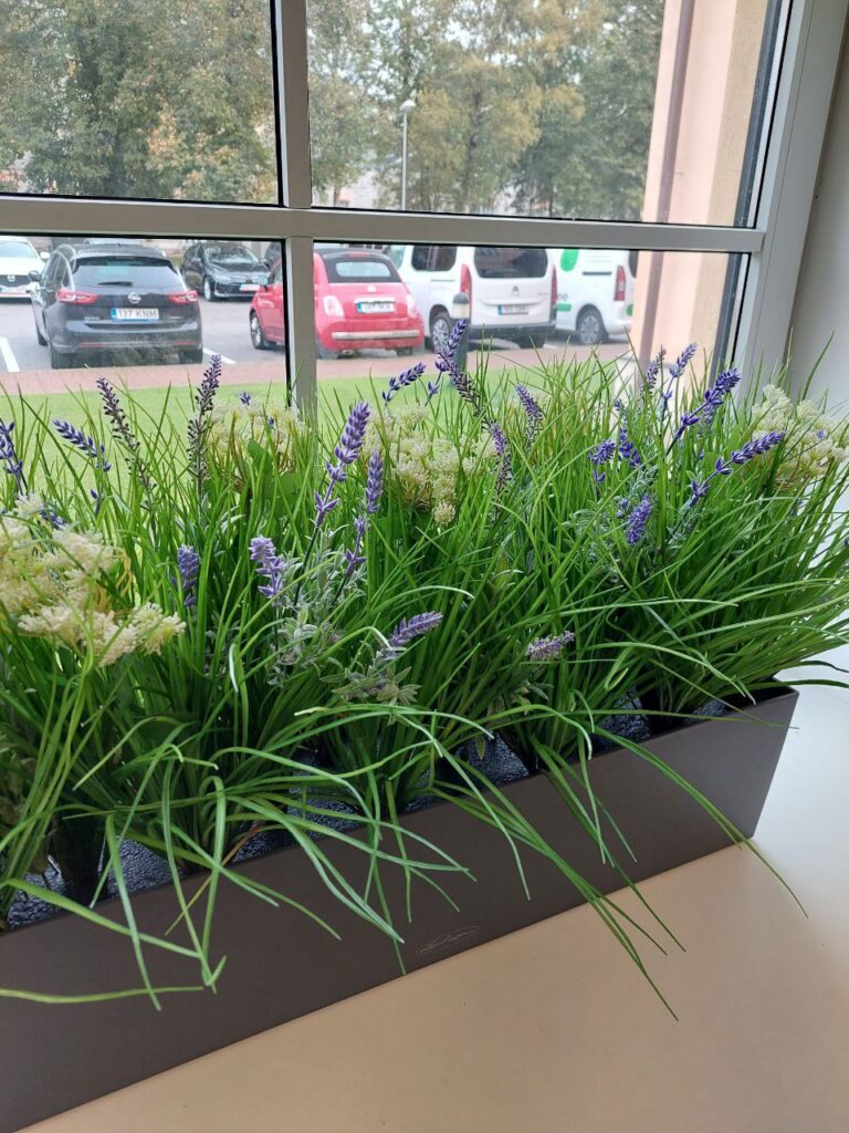 Box with artificial plants