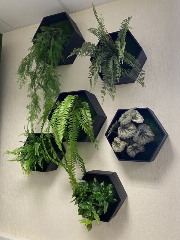 Hexagons with artificial plants - Image 2