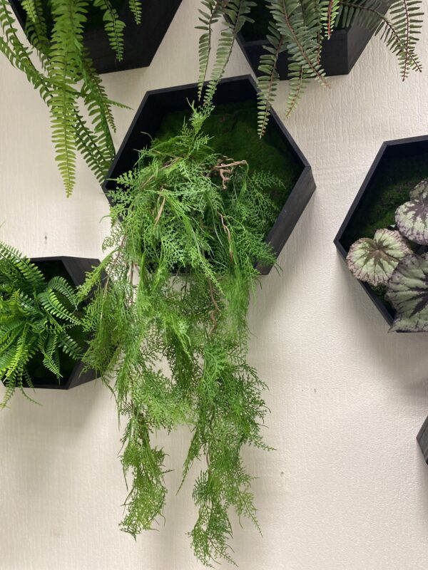 Hexagons with artificial plants - Image 3