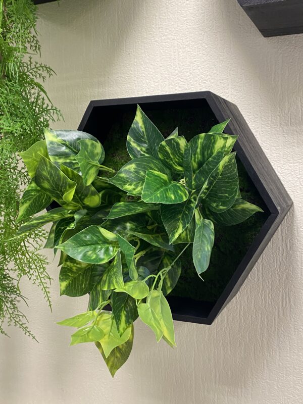 Hexagons with artificial plants - Image 4