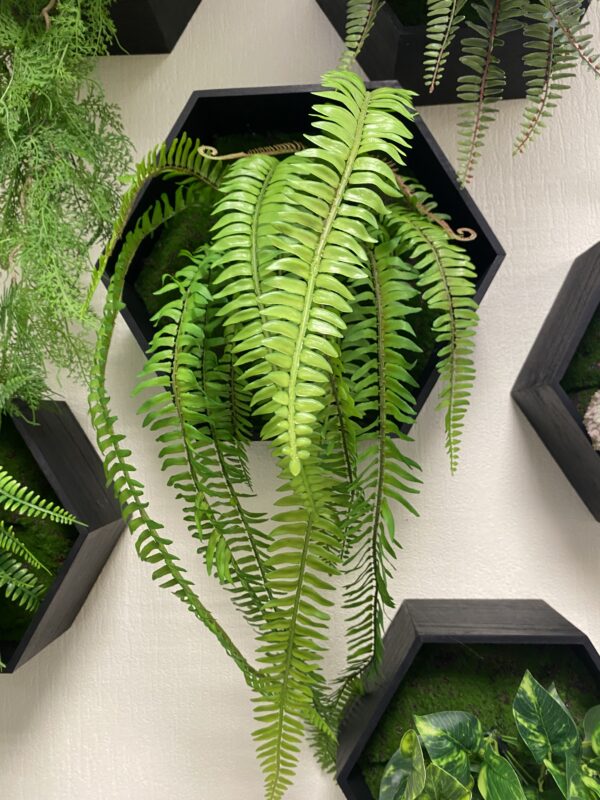 Hexagons with artificial plants - Image 5