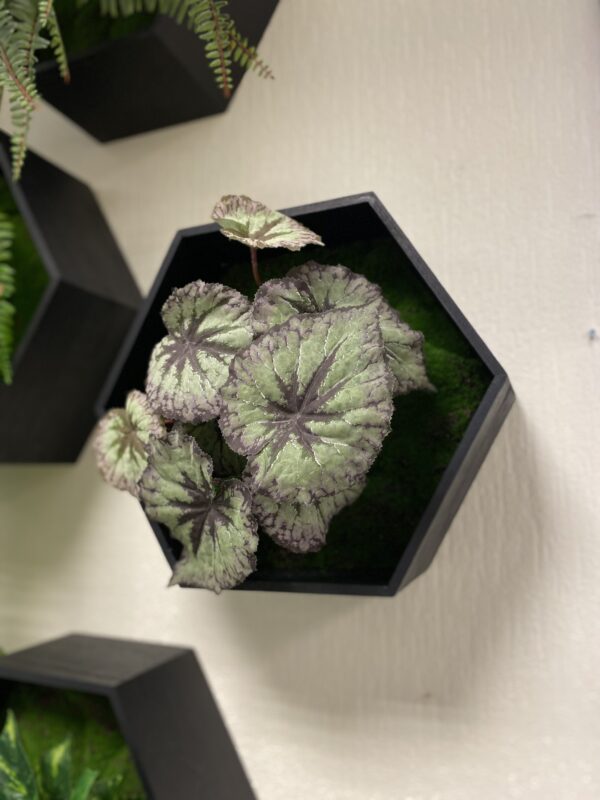 Hexagons with artificial plants - Image 6