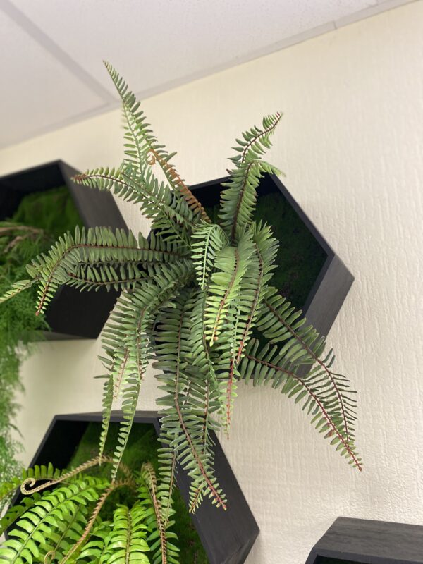 Hexagons with artificial plants - Image 7