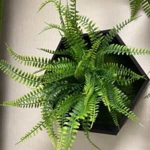 Hexagons with artificial plants