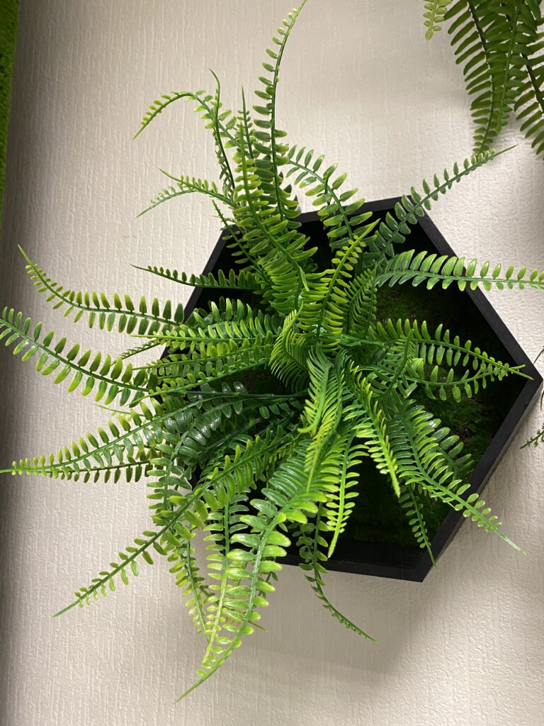 Hexagons with artificial plants